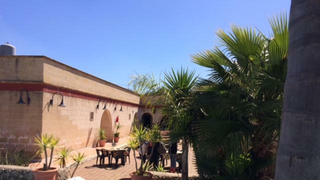 Appartamento Porto Cesareo Exterior foto